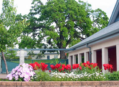 front gate of school with blooming flowers and oak tree in the background